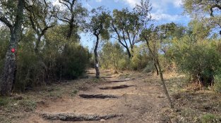 El Repte del doctor Soler de l'Estrada, en imatges