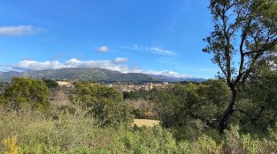 El Repte del doctor Soler de l'Estrada, en imatges