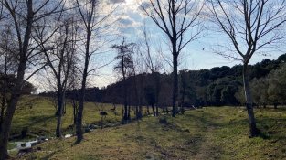 El Repte del doctor Soler de l'Estrada, en imatges