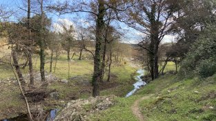 El Repte del doctor Soler de l'Estrada, en imatges