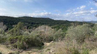 El Repte del doctor Soler de l'Estrada, en imatges