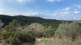 El Repte del doctor Soler de l'Estrada, en imatges
