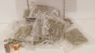 Volia creuar la frontera amb 2,5 kg de marihuana