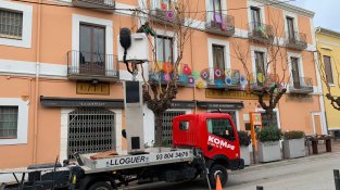 Poda de l'arbrat a diversos punts del poble