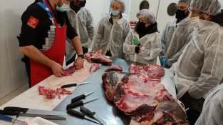 Jornada d'especejament de canals de vaca