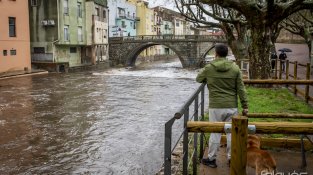 El cabal continua sent molt superior a l'habitual