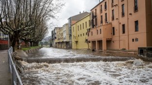 El cabal continua sent molt superior a l'habitual