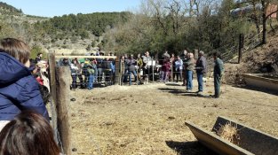El projecte es va presentar públicament el 3 d'abril