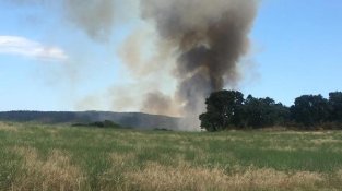 El foc ha posat en alerta tots els efectius