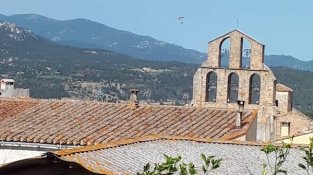 El foc ha posat en alerta tots els efectius