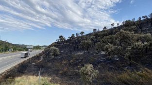 Alerta de perill d'incendi forestal