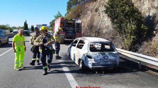 Una dotzena de dotacions dels Bombers han extingit el foc en una hora