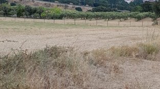 Nou ensurt per un foc al polígon del Mas del Pla