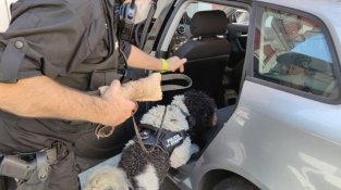 En Mitu, durant el seu primer patrullatge