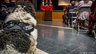 La Diada de la Policia Local, en imatges