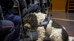 La Diada de la Policia Local, en imatges