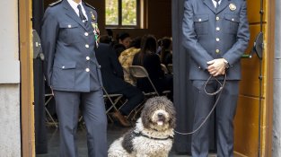 La Diada de la Policia Local, en imatges
