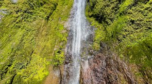 El viatge d'en Pere durarà uns mesos