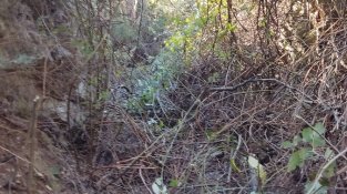 Localitzen un refugi de la Línia P fins ara desconegut a la zona de la Civadera