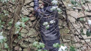 Localitzen un refugi de la Línia P fins ara desconegut a la zona de la Civadera