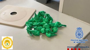 Part del material intervingut