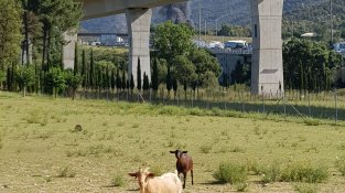 El fum era visible des de tot el municipi, i rodalies