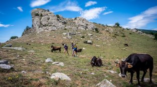 La travessa de l'Albera per la carena permet gaudir de paisatges sempre espectaculars.