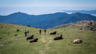 Bonics paisatges durant la traversa