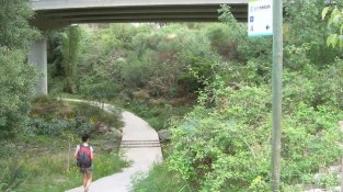 Per pujar al coll de Panissars, segueix la Pirinexus