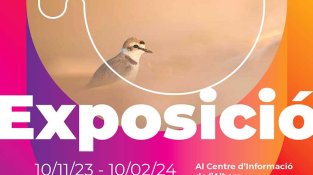 Cartell promocional de l'exposició (cliqueu per ampliar)