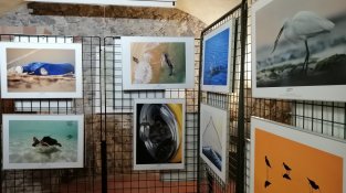 Algunes de les imatges més espectaculars de la mostra