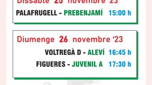 Partits d'hoquei patins a fora