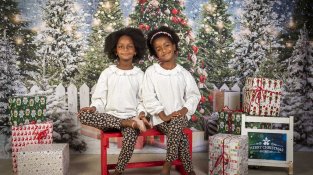 L'estudi disposa de diversos elements i decorats