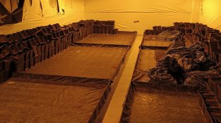La instal·lació estava preparada per cultivar-hi fins a 3.000 plantes