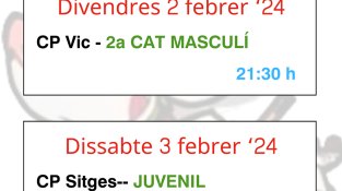 Partits d'hoquei a fora