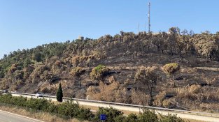 Un estudi alerta de l'increment dels incendis forestals de gran escala des de 2010