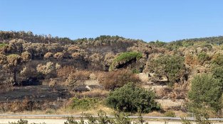 Bosc cremat al serrat de la Plaça, a la Jonquera. Imatge d'arxiu.