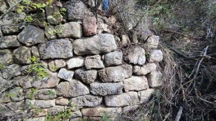 La IAEDEN i l'IEE demanen declarar-lo BCIN i alerten que es troba a l'àrea afectada pel projecte del parc eòlic Galatea