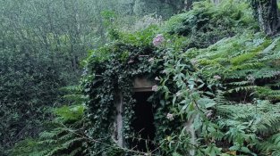 Mina del camí del Mas de la Comtessa