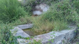 Rentador del Mas de la Comtessa