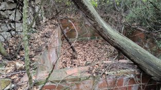 Antiga font de les Mimoses