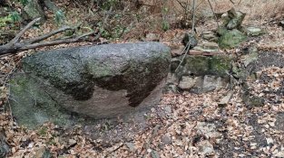 Antiga font de les Mimoses