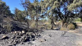 Imatge secundaria de la galeria