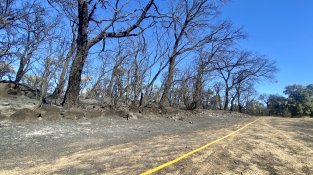 Els Bombers continuen a la zona