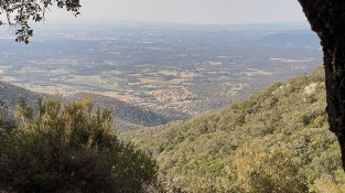 Vistes de l'ascens a Requesens