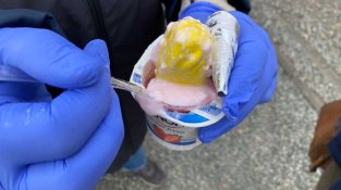 Establiment de la Jonquera venia heroïna en envasos de iogurt