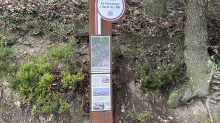 Alternativa: camí senyalitzat fins a l'avió DC6 estavellat des del poble de Cantallops