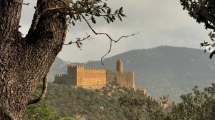 Castell de Requesens des de la pista forestal que mena a l'avió