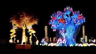 El festival 'Splendeurs de Chine' és una de les grans novetats d'enguany