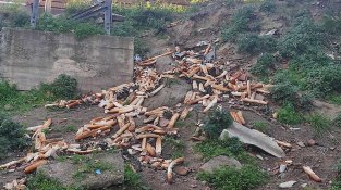 Menjadora amb bones intencions però d'efectes contraproduents